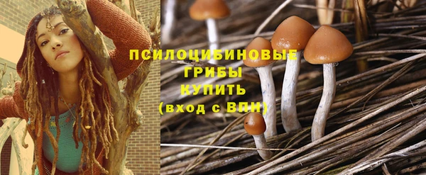 ГАЛЛЮЦИНОГЕННЫЕ ГРИБЫ Алзамай