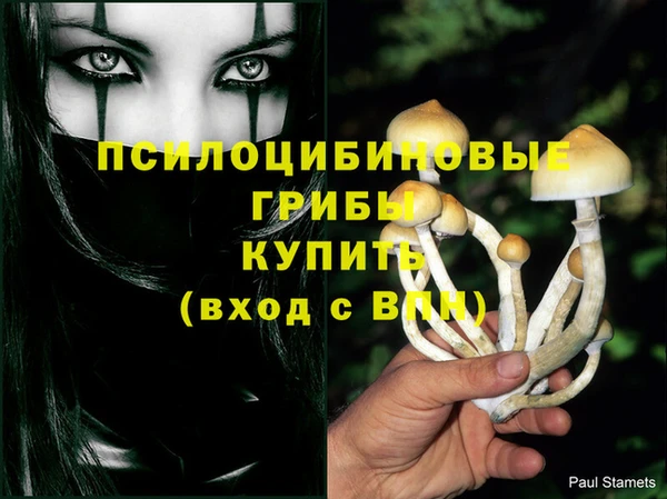 ГАЛЛЮЦИНОГЕННЫЕ ГРИБЫ Алзамай