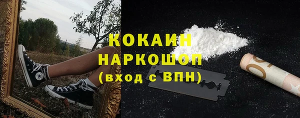 ПСИЛОЦИБИНОВЫЕ ГРИБЫ Абаза