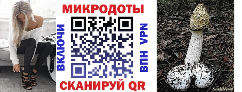 Галлюциногенные грибы Magic Shrooms где купить наркоту Кизилюрт