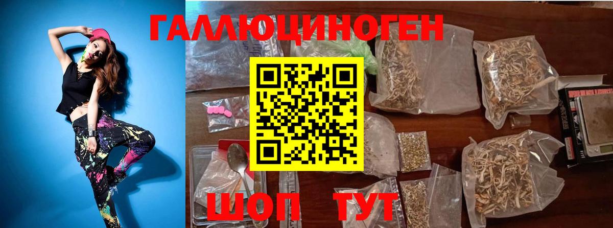 Галлюциногенные грибы Magic Shrooms  Псилоцибиновые грибы GOLDEN TEACHER  Вход с VPN  Кизилюрт 