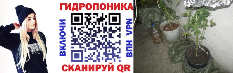 мориарти официальный сайт  гидра вход  Бошки марихуана планчик  Кизилюрт  закладка 